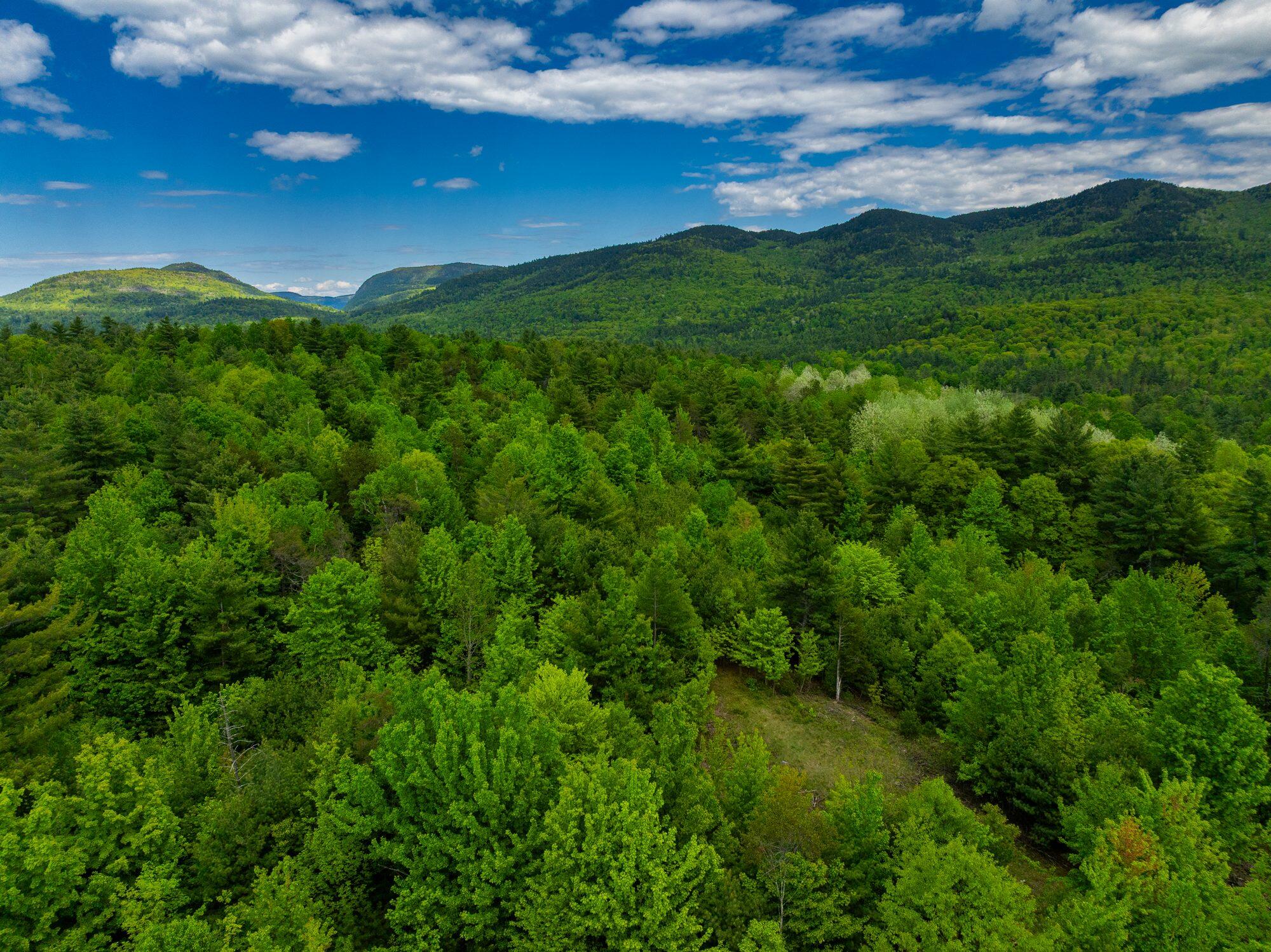 Lot 3 Wildernesscapes Way Way, Jay, New York image 2