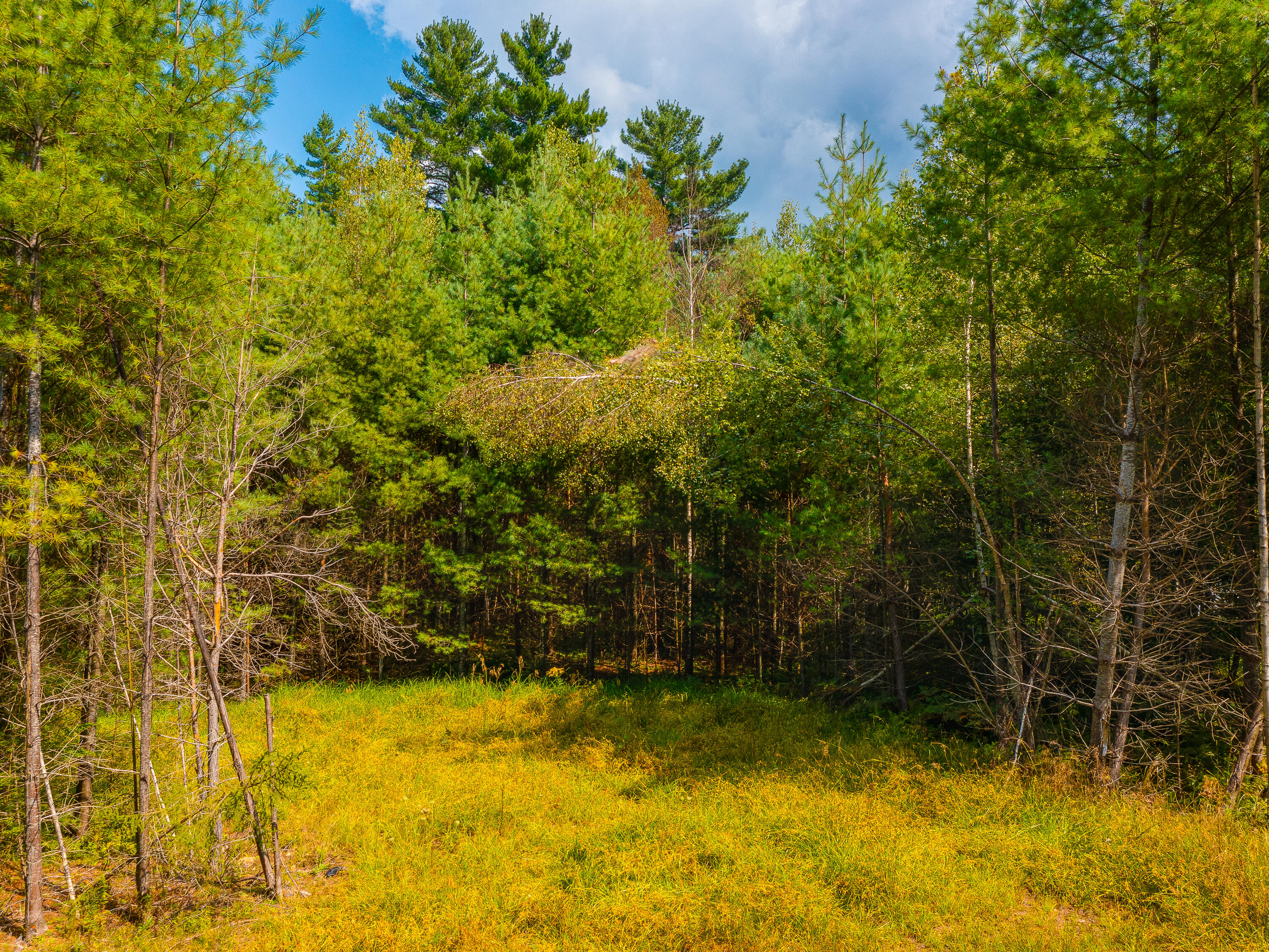 00 Baker Avenue, Tupper Lake, New York image 7