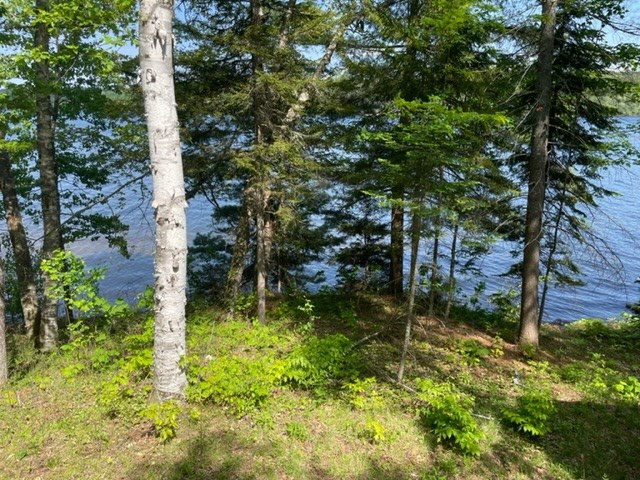 5528 Ny-30, Indian Lake, New York image 40