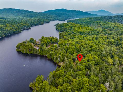 Vacant Land For Sale - 89 Doe Haven Lane<br/> Newcomb, NY 12852