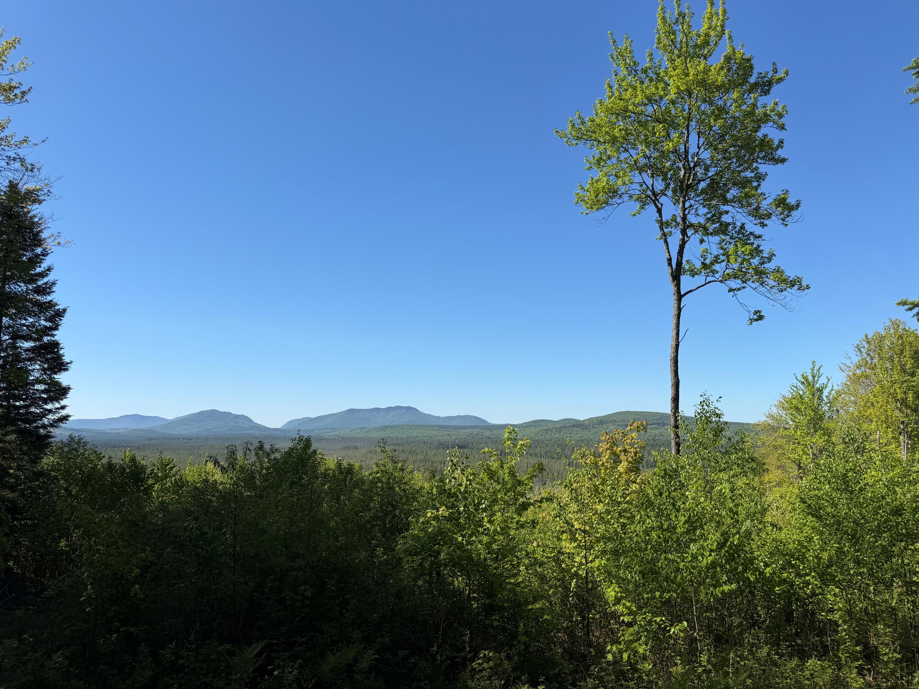 231 Adirondack Mountain Trail