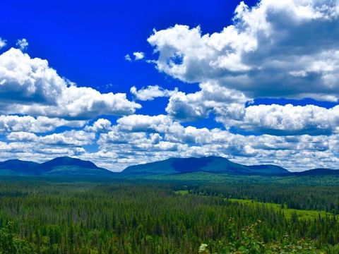 Vacant Land For Sale - 231 Adirondack Mountain Trail<br/> Malone, NY 12953