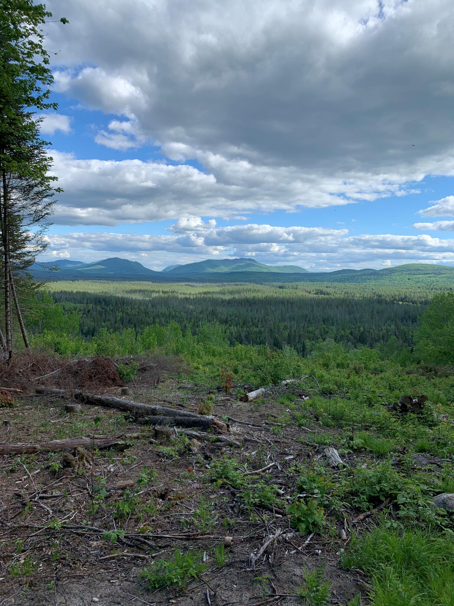 231 Adirondack Mountain Trail