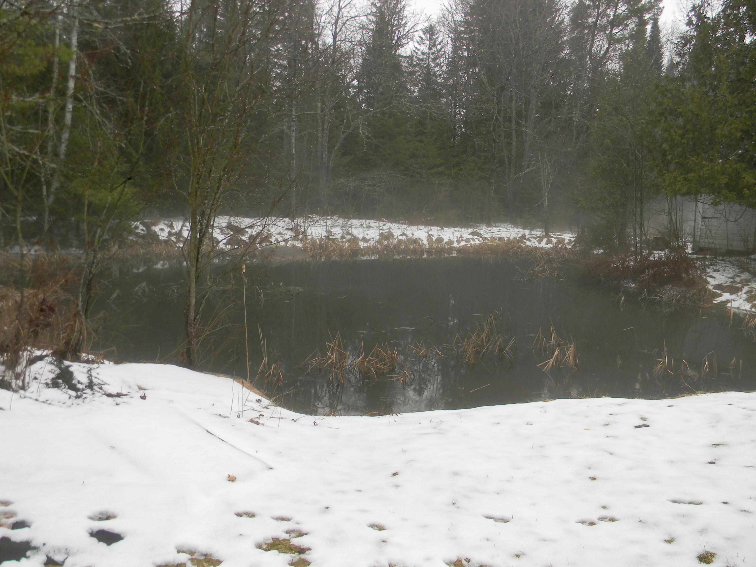 1563 Nys Route 3, Saranac Lake, New York image 25