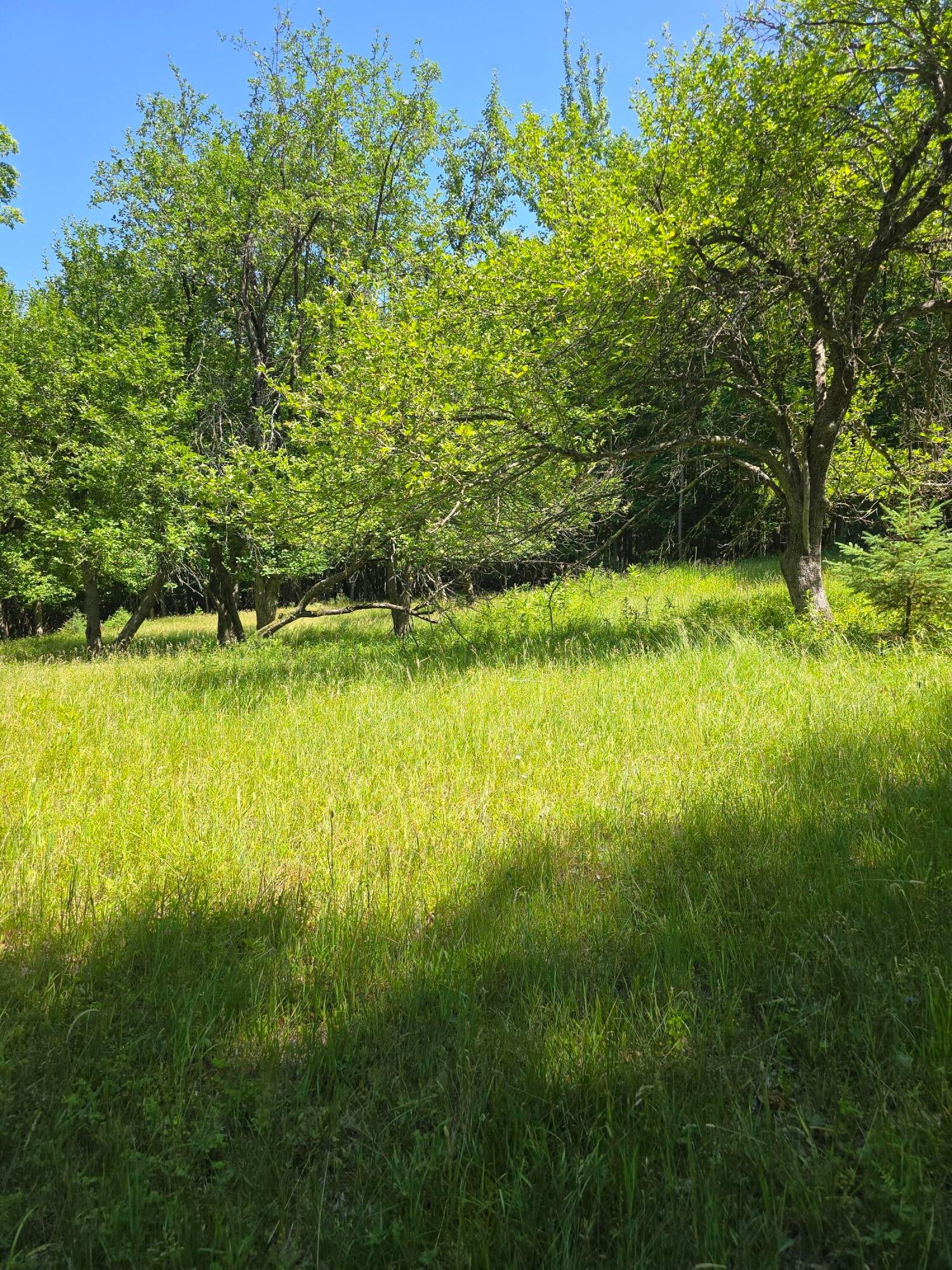 520 Trumbulls Road