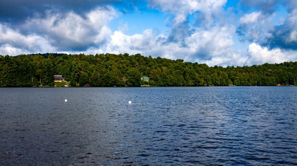 MT ARAB LK, PIERCEFIELD, NY 12973 - Image e466b10336b00a1188fc0a1ef7f5b88f/975638258
