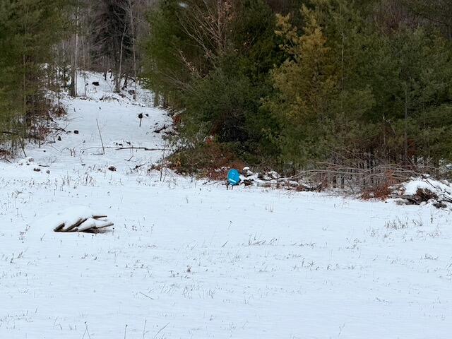 0 NYS Rt. 86 (Lot 3)