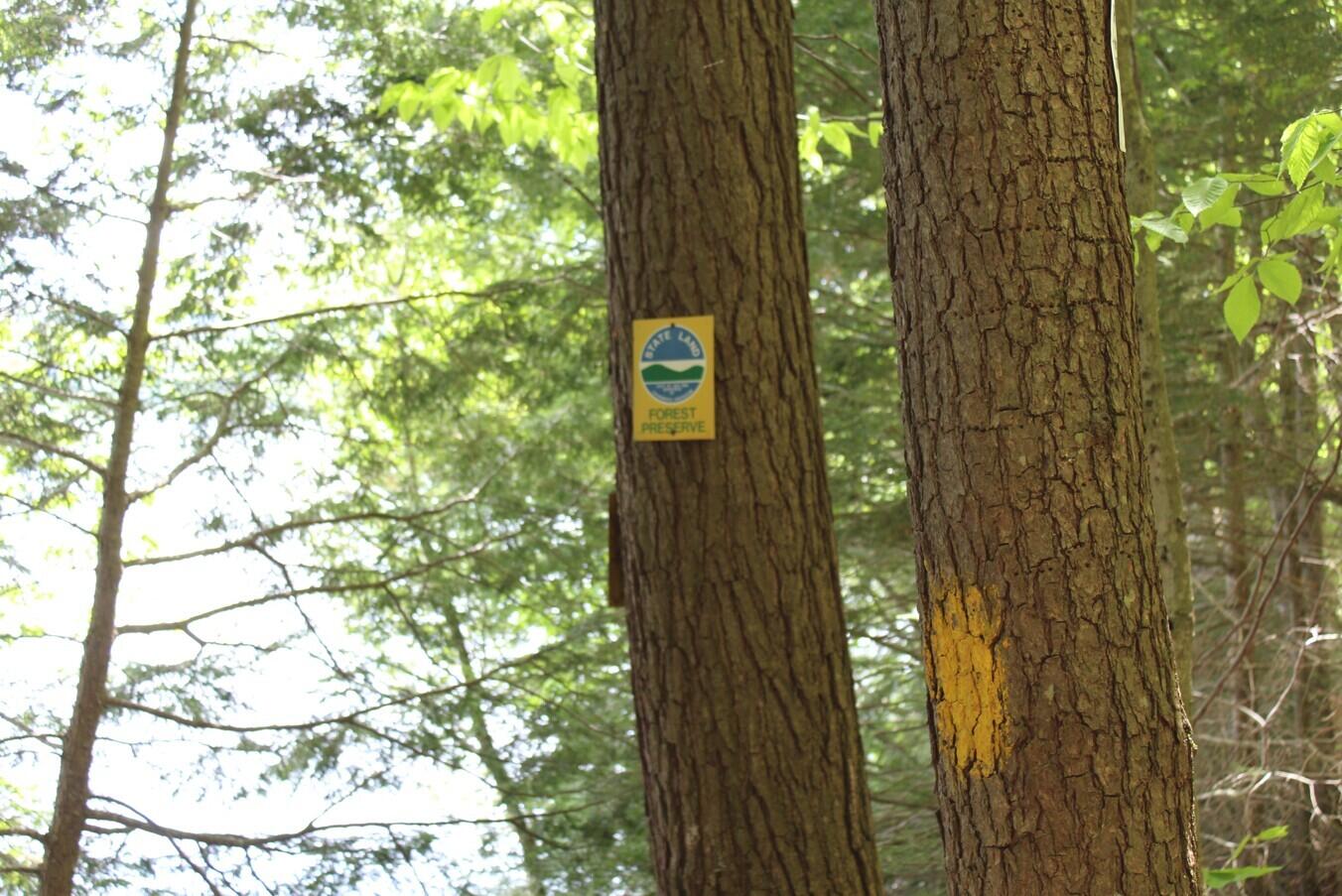 Griffin Road, Indian Lake, New York image 11