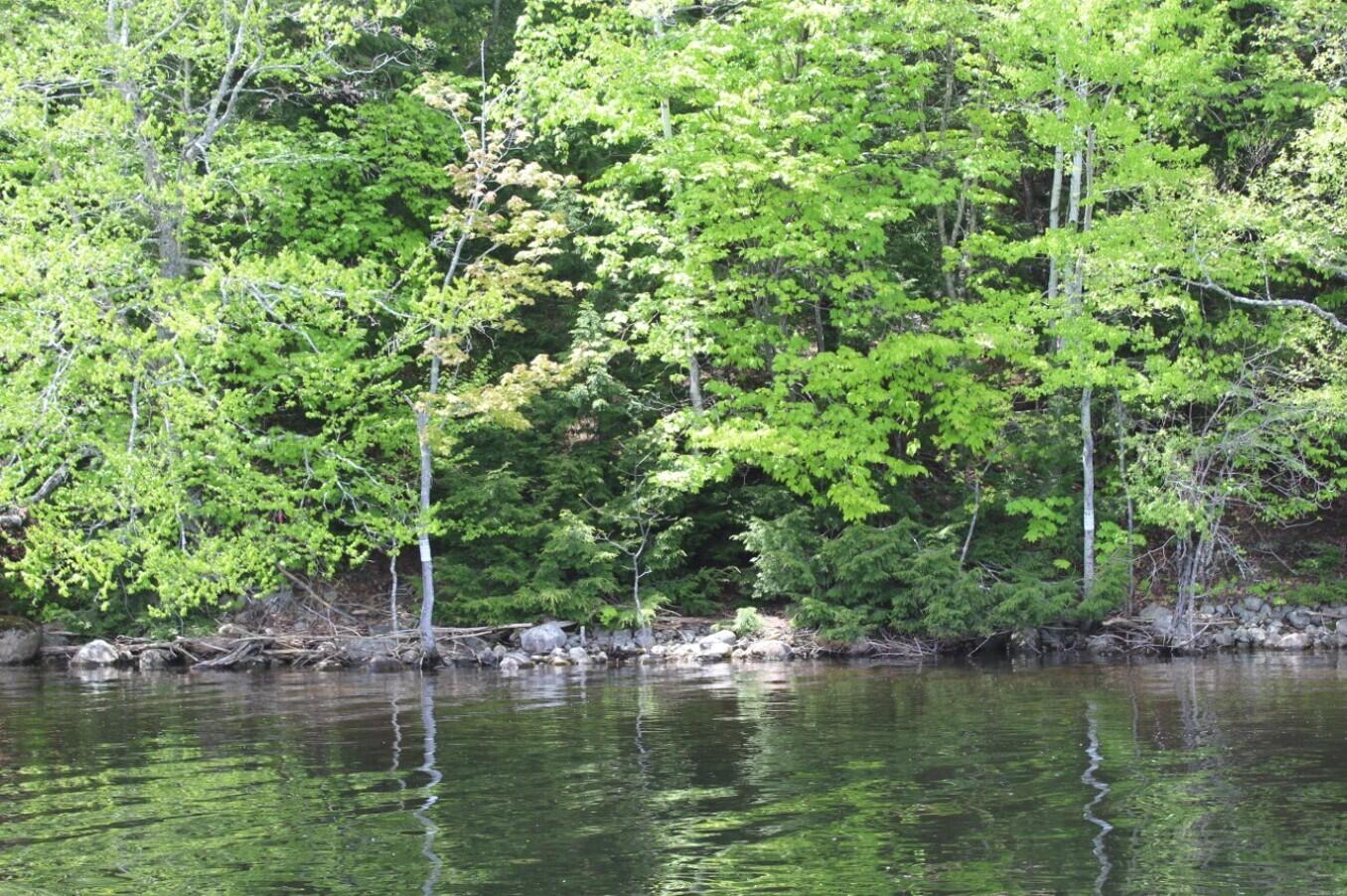Griffin Road, Indian Lake, New York image 7
