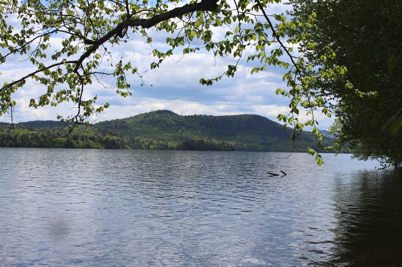Griffin Road, Indian Lake, New York image 8