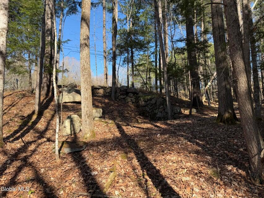 5509 Lincoln Pond (Lot 1) Road