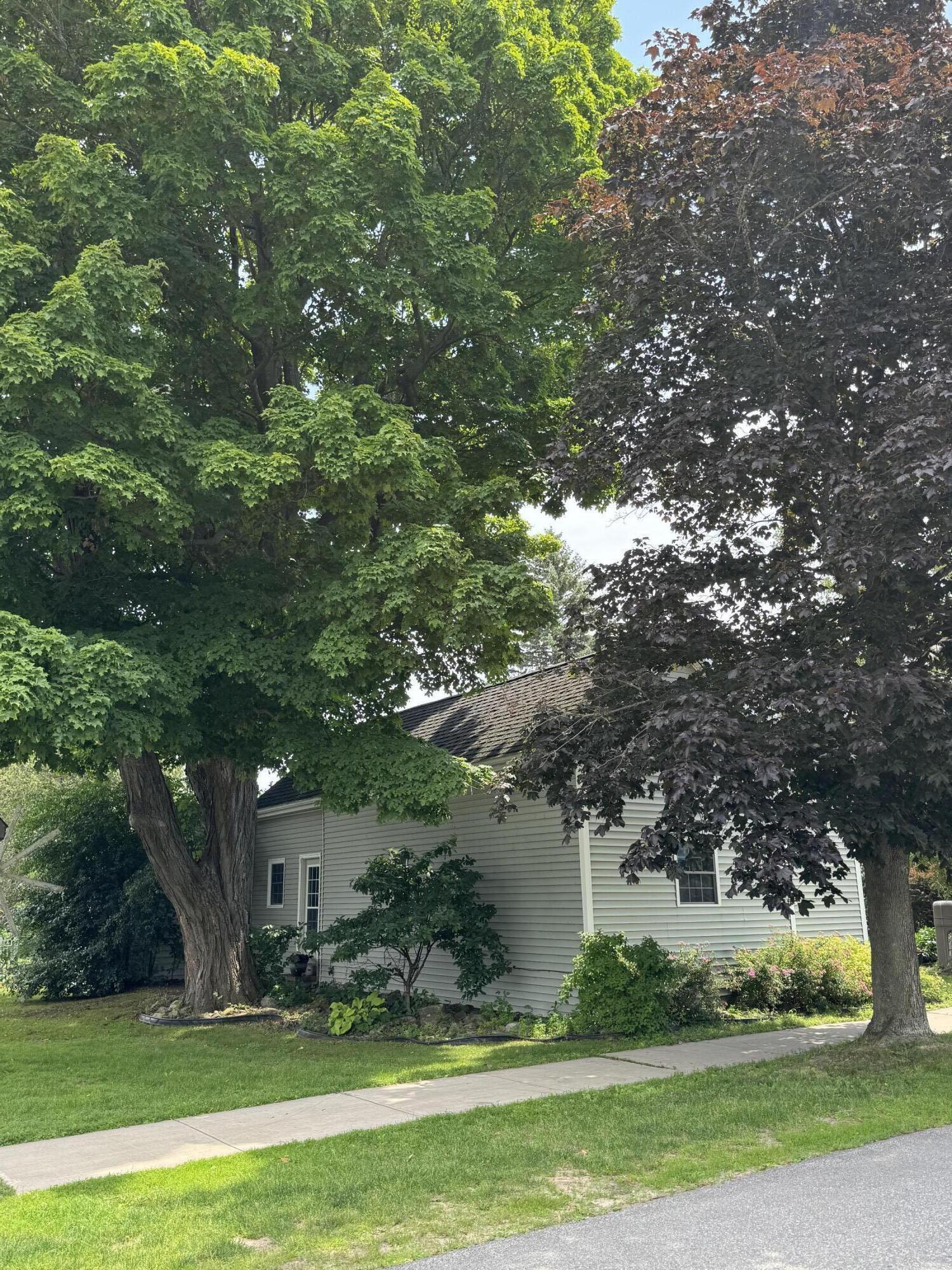 55 Maple Street