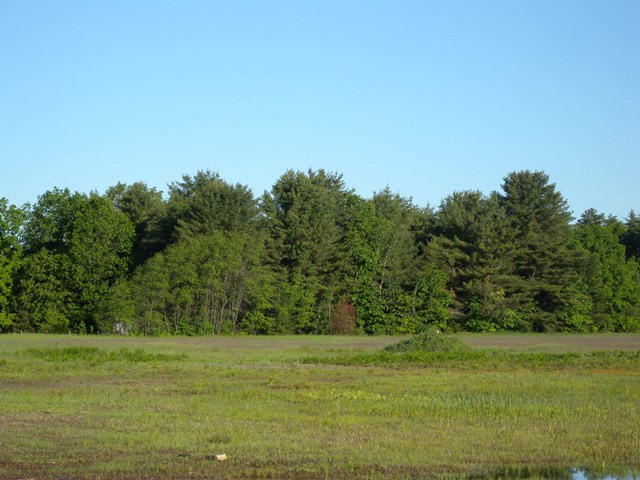 Dashnaw Road, Peru, New York image 5