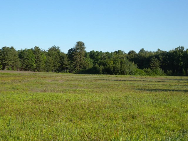 Dashnaw Road, Peru, New York image 7