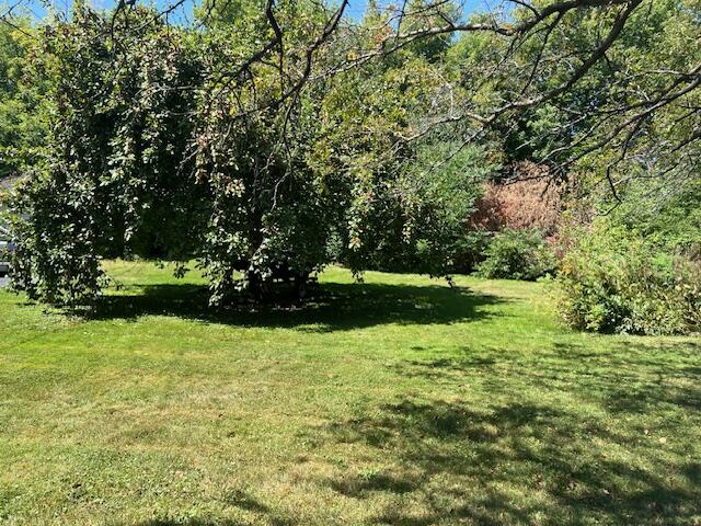 32 MacDonough Street