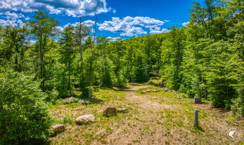Vacant Land For Sale - 135 Mountain Lane<br/> Lake Placid, NY 12946