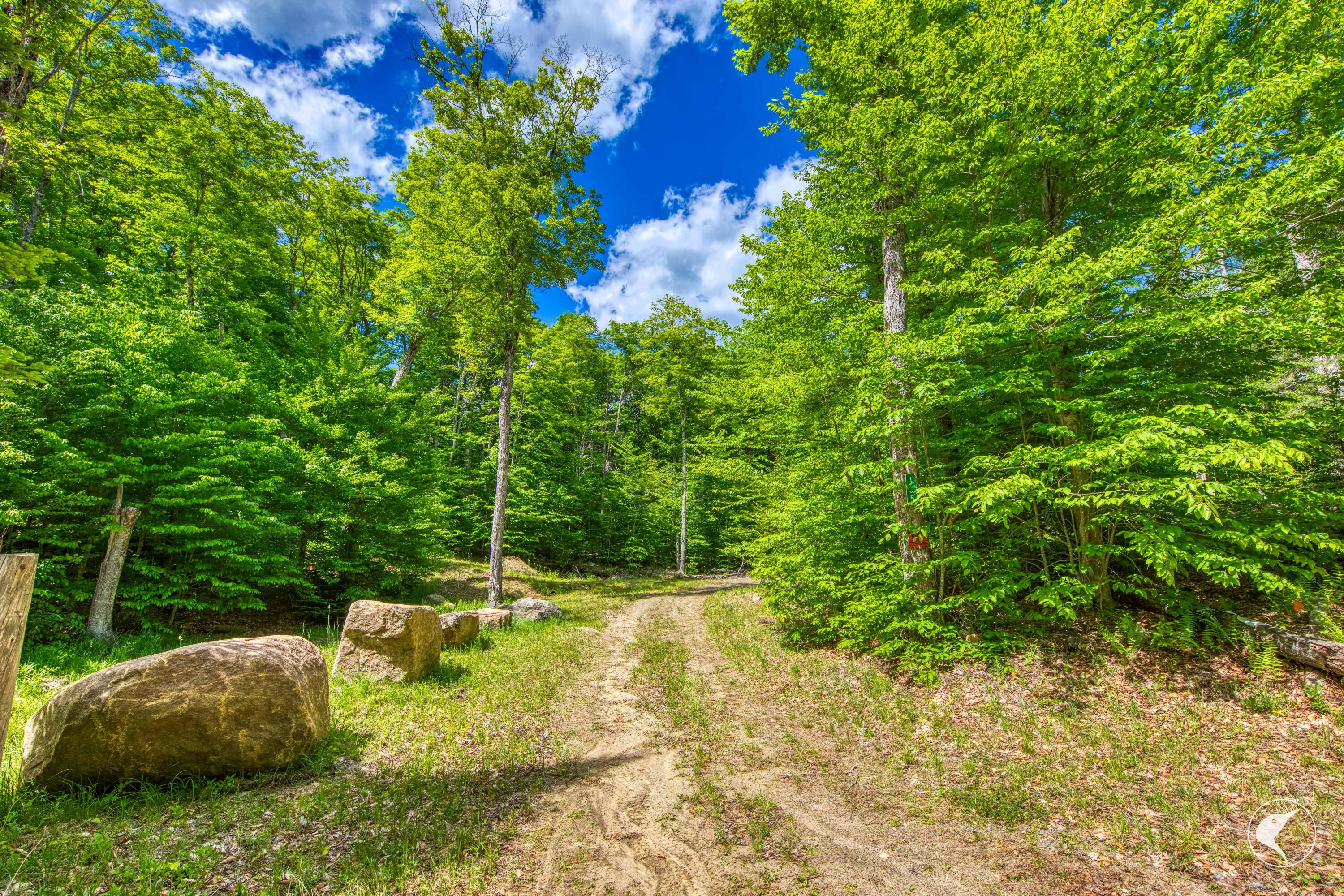 135 Mountain Lane