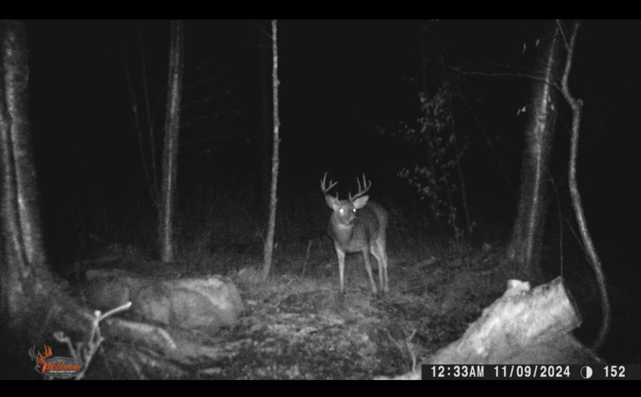 . Soucia Road, Churubusco, New York image 16