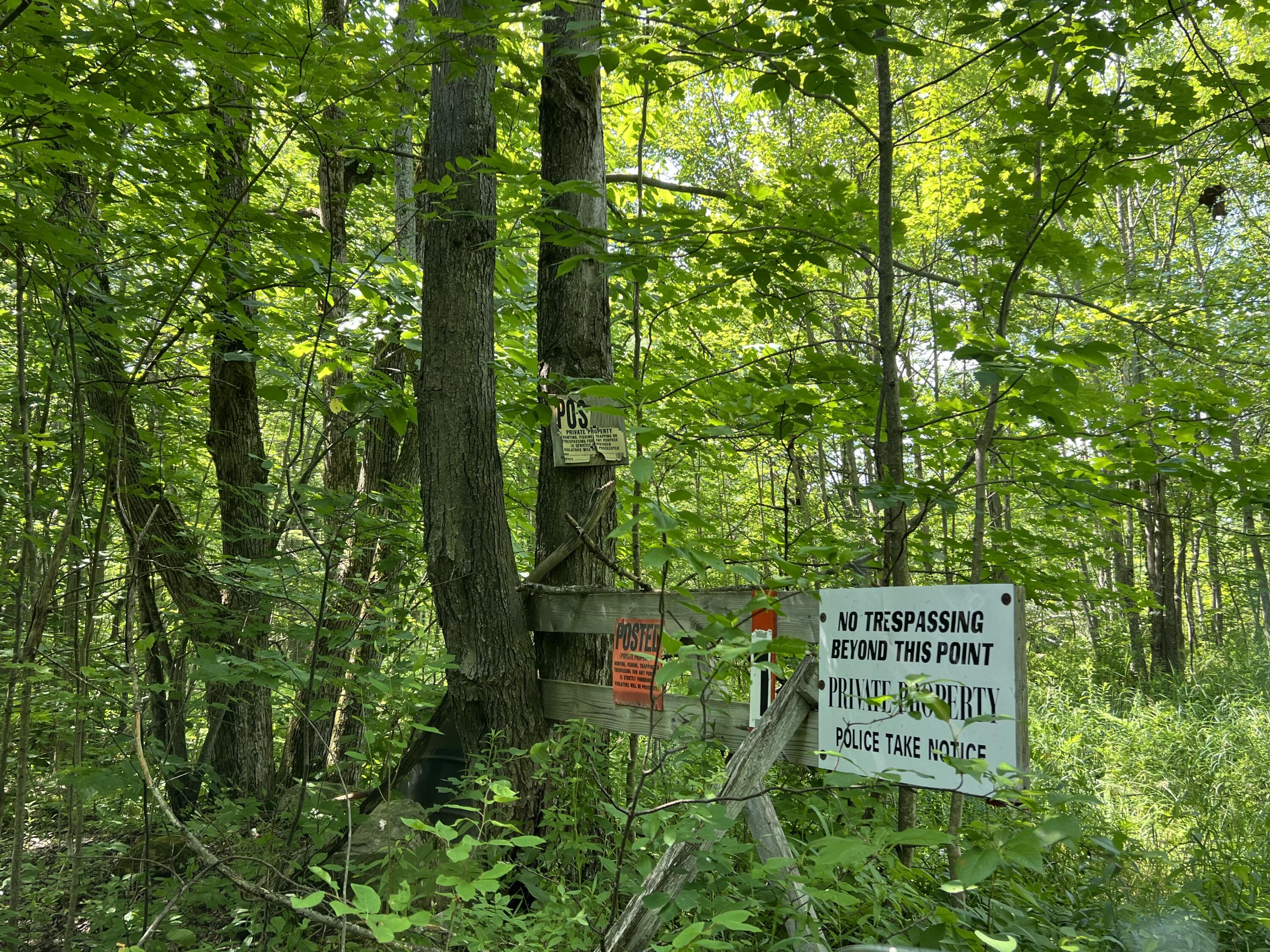 . Soucia Road, Churubusco, New York image 11