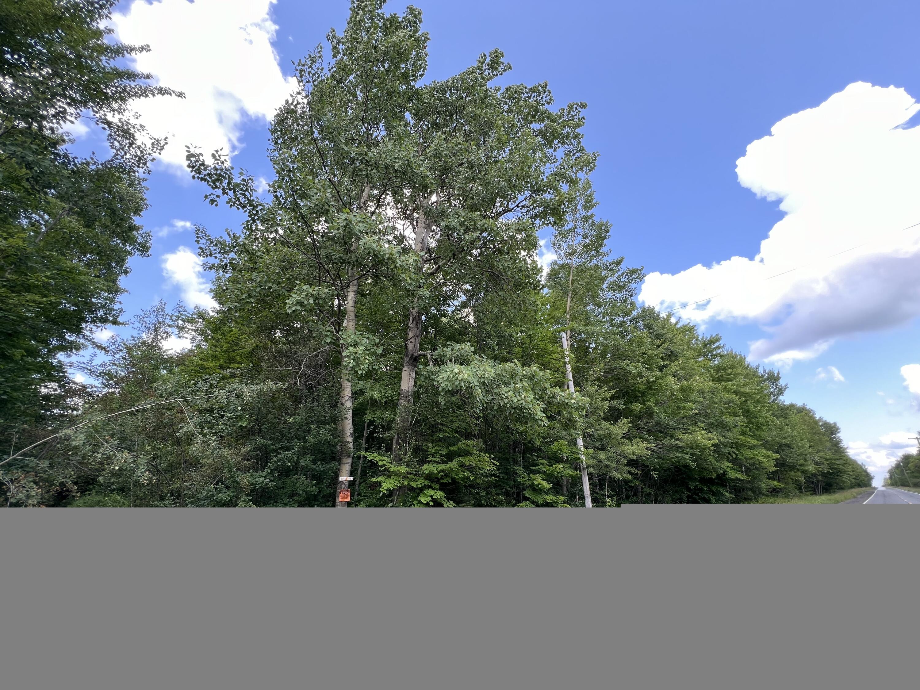 . Soucia Road, Churubusco, New York image 2