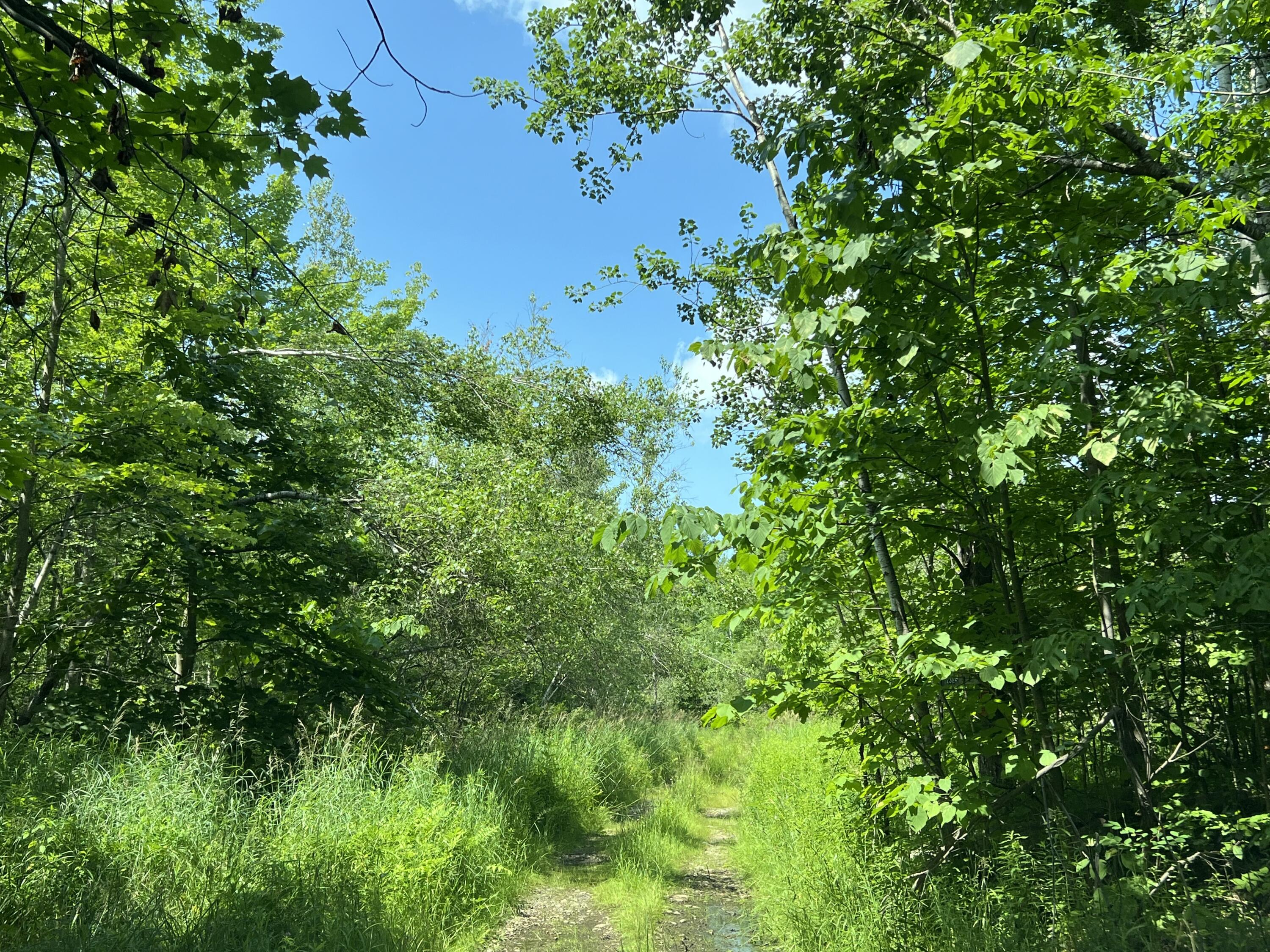 . Soucia Road, Churubusco, New York image 10