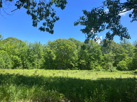 Vacant Land For Sale - Allen Hill Road<br/> Peru, NY 12972