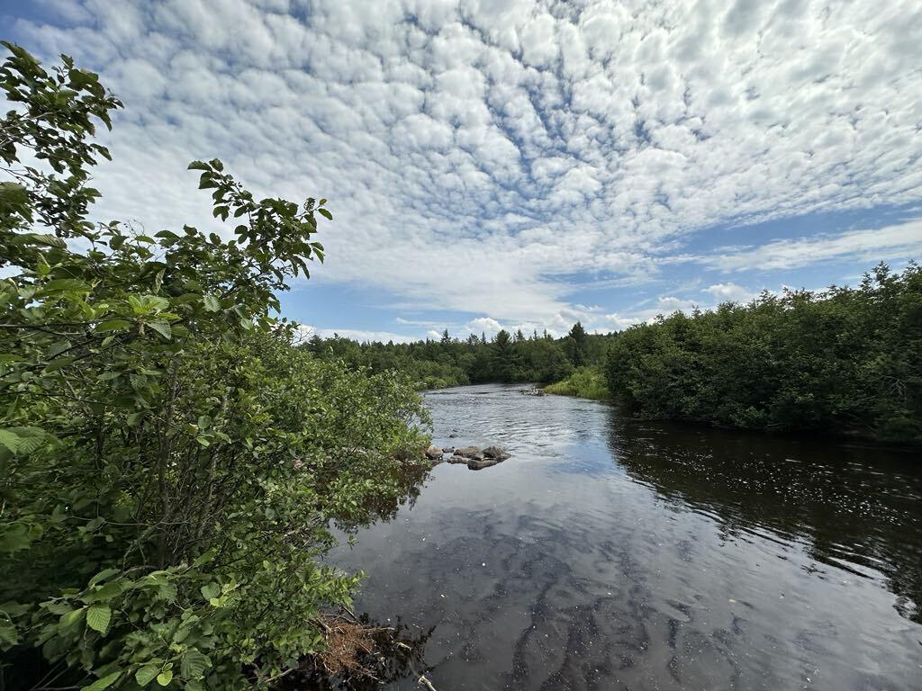 River Road, Saranac, New York image 5