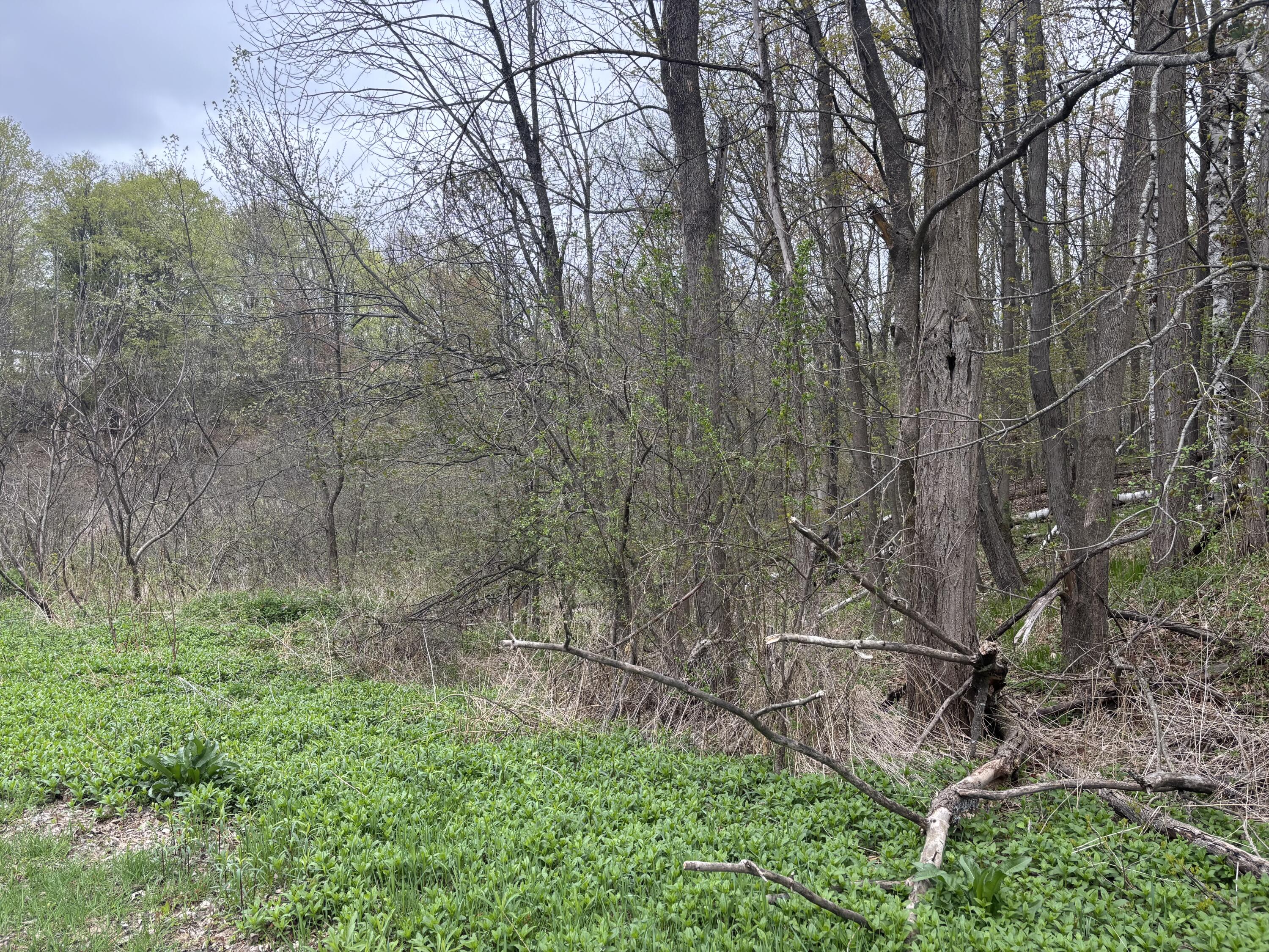 Ram Road, Schuyler Falls, New York image 1