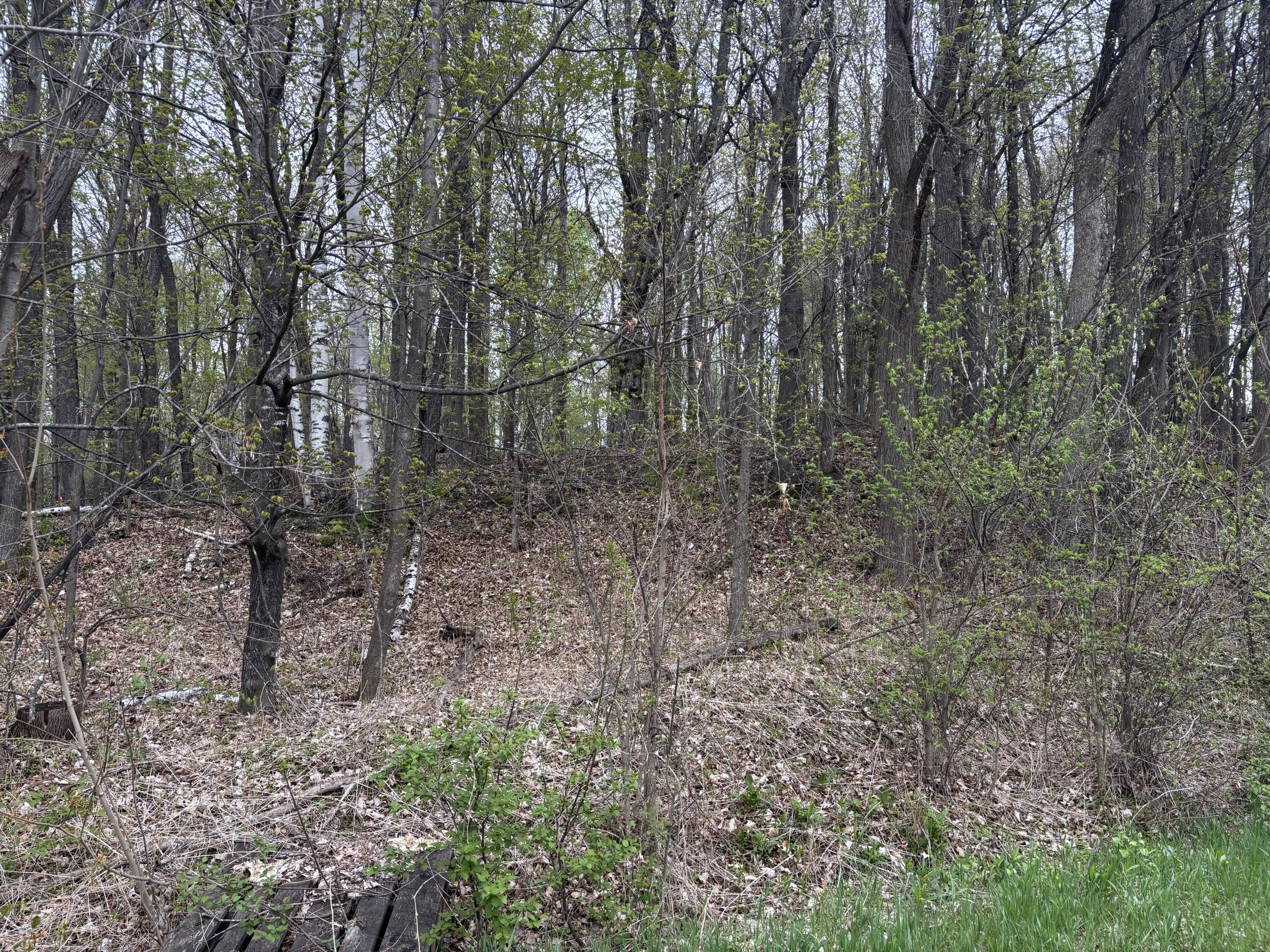 Ram Road, Schuyler Falls, New York image 2