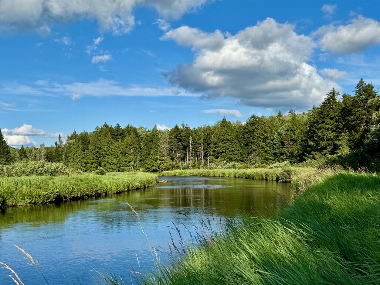 Cedar River Rd, Indian Lake, New York image 8