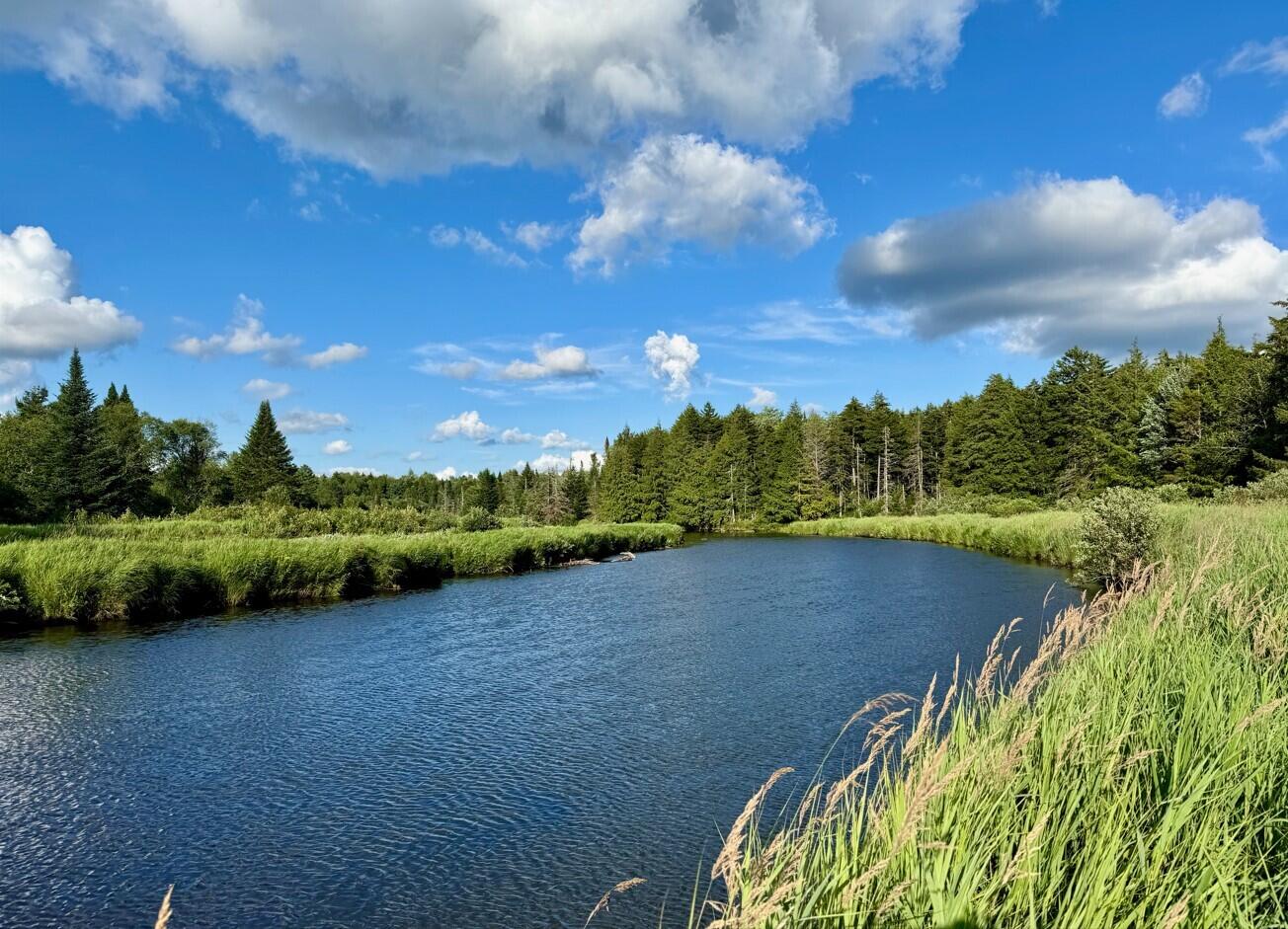 Cedar River Rd, Indian Lake, New York image 1