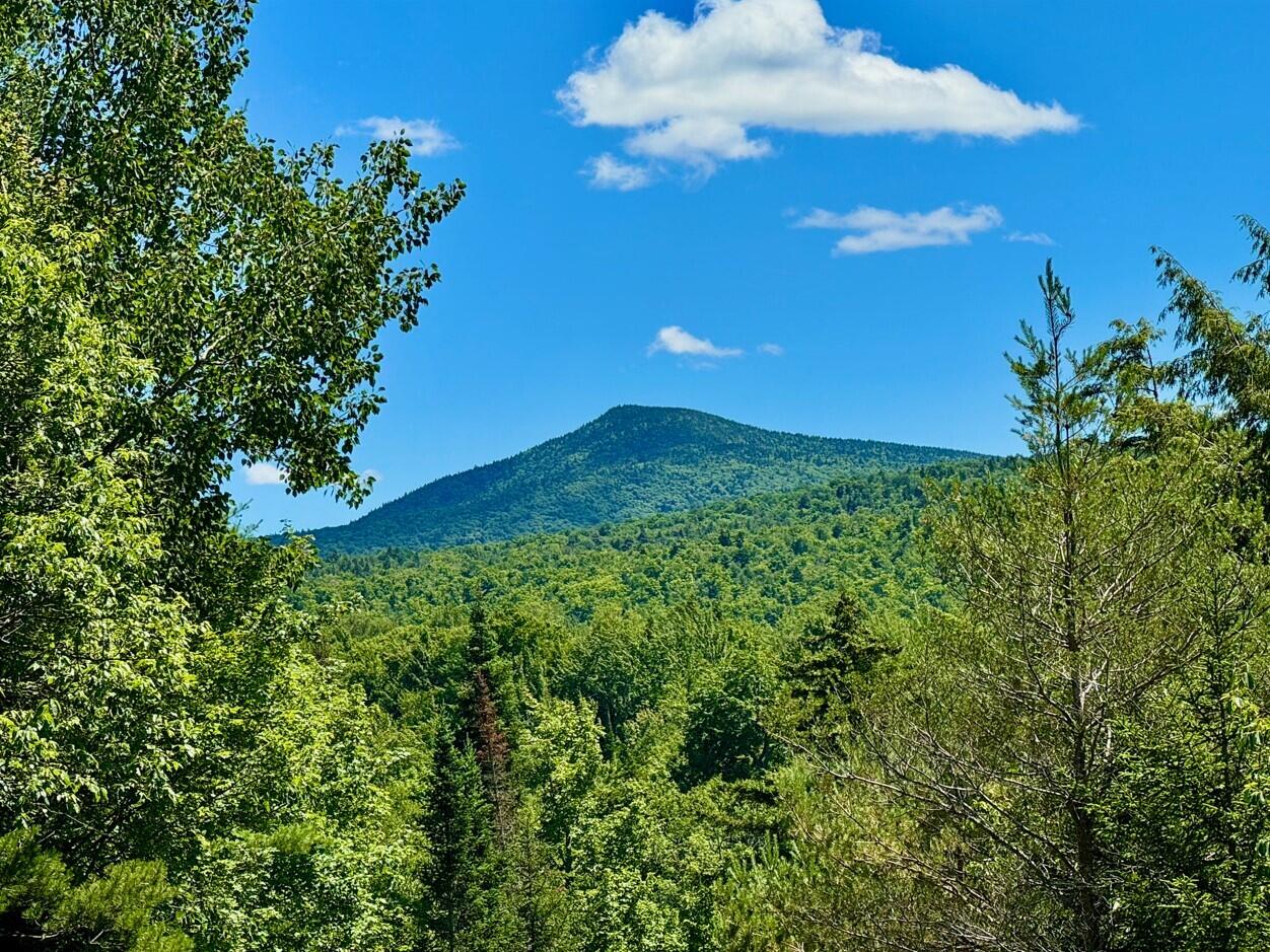 Cedar River Rd, Indian Lake, New York image 9