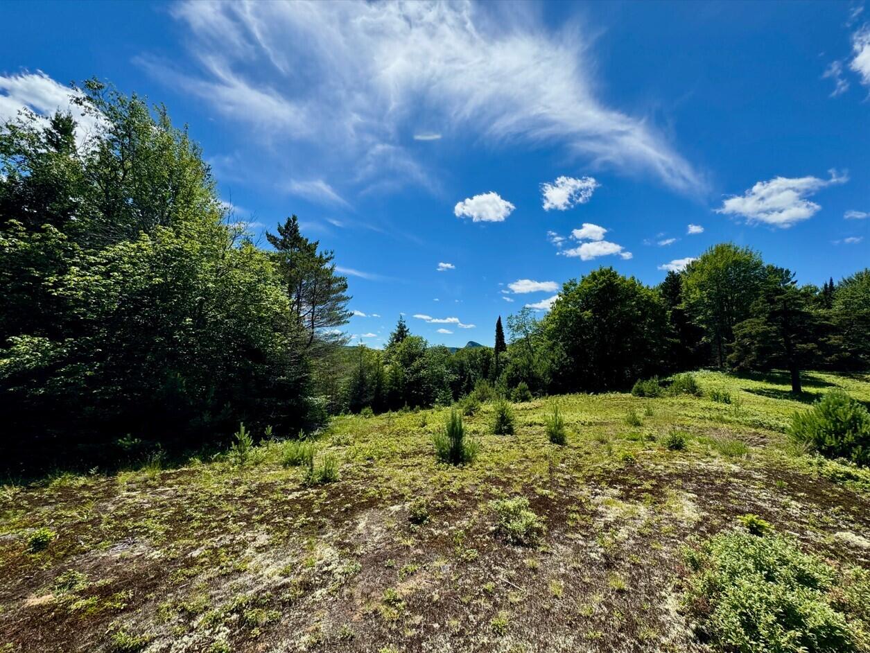 Cedar River Rd, Indian Lake, New York image 6