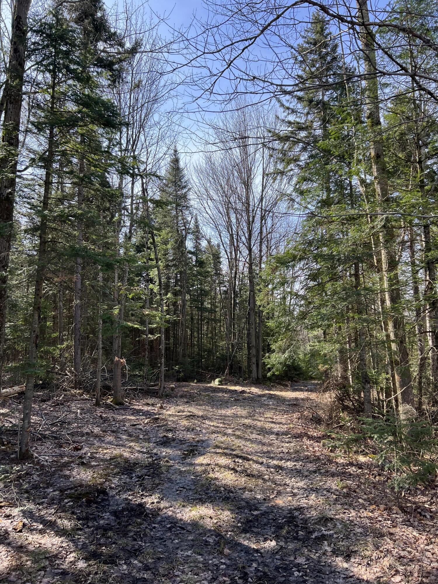 1690 County Route 24, Chateaugay, New York image 22