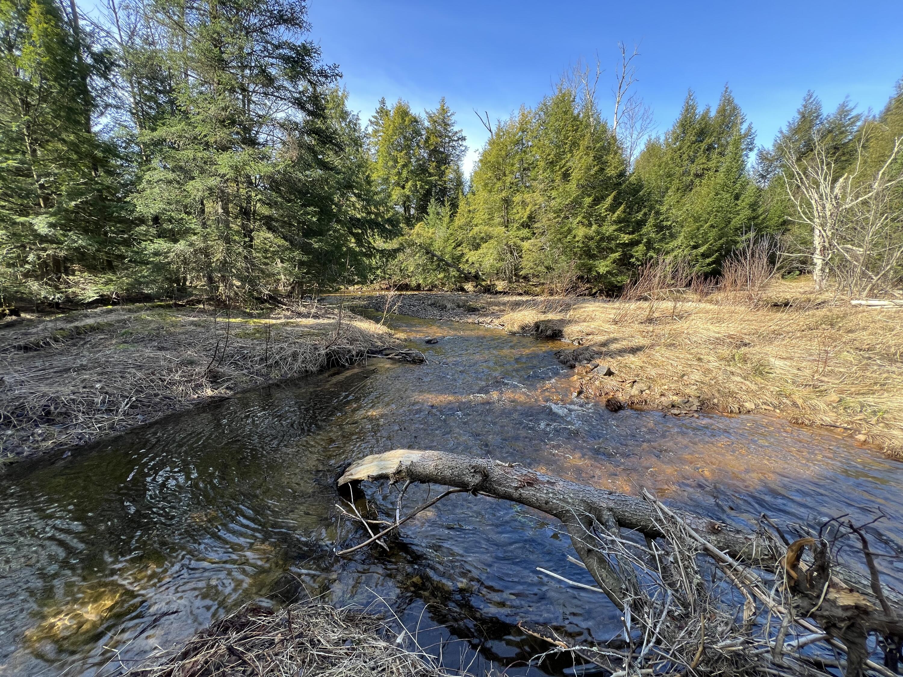 1690 County Route 24, Chateaugay, New York image 29