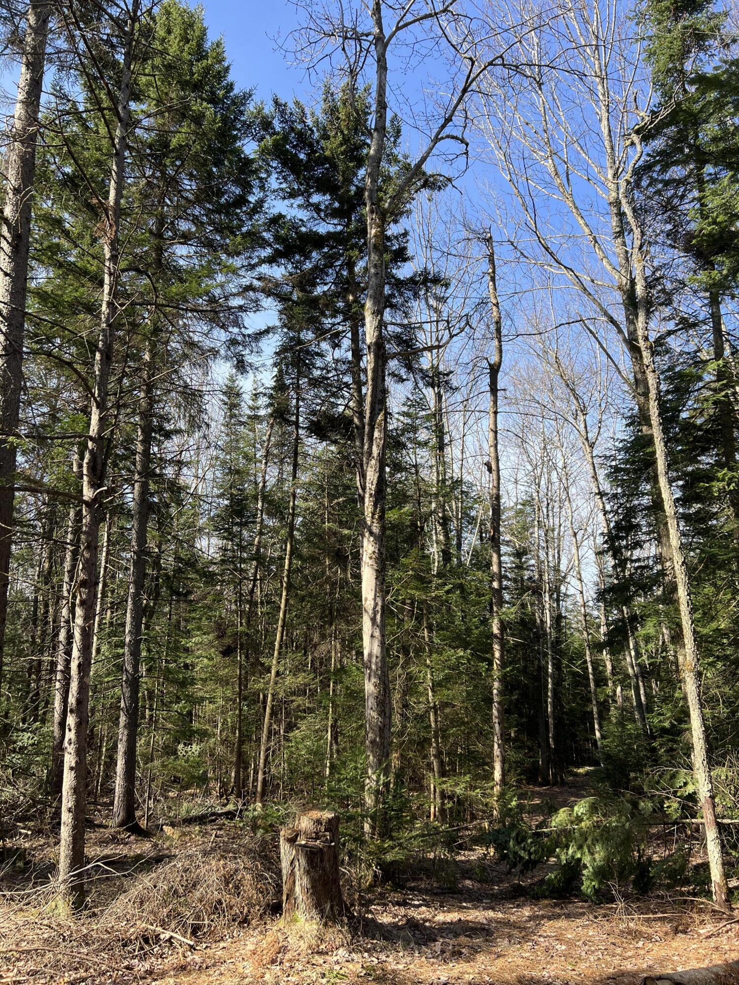 1690 County Route 24, Chateaugay, New York image 23