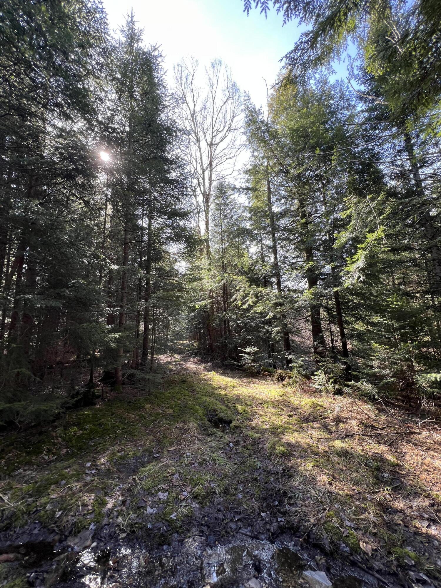 1690 County Route 24, Chateaugay, New York image 25