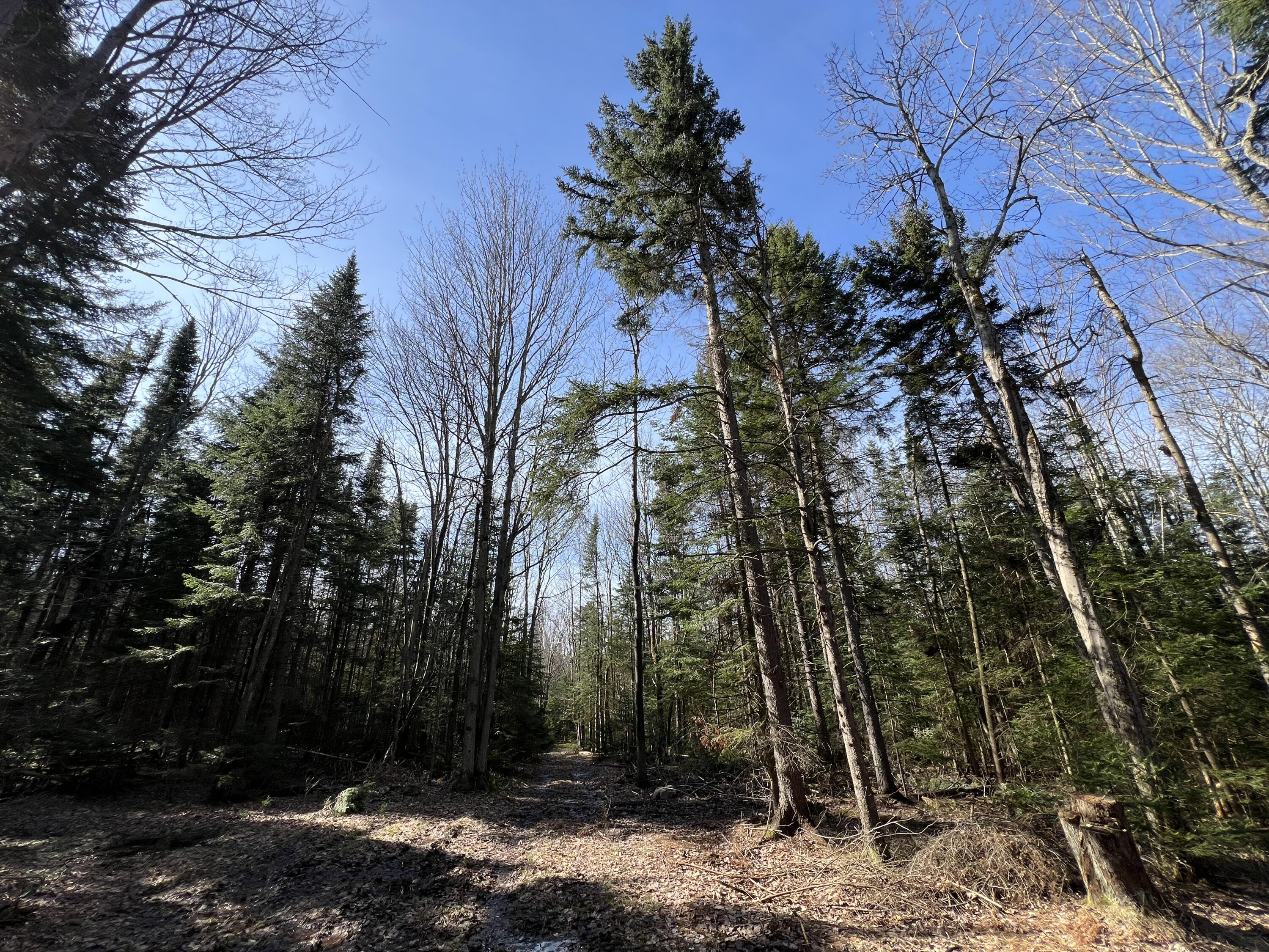 1690 County Route 24, Chateaugay, New York image 24
