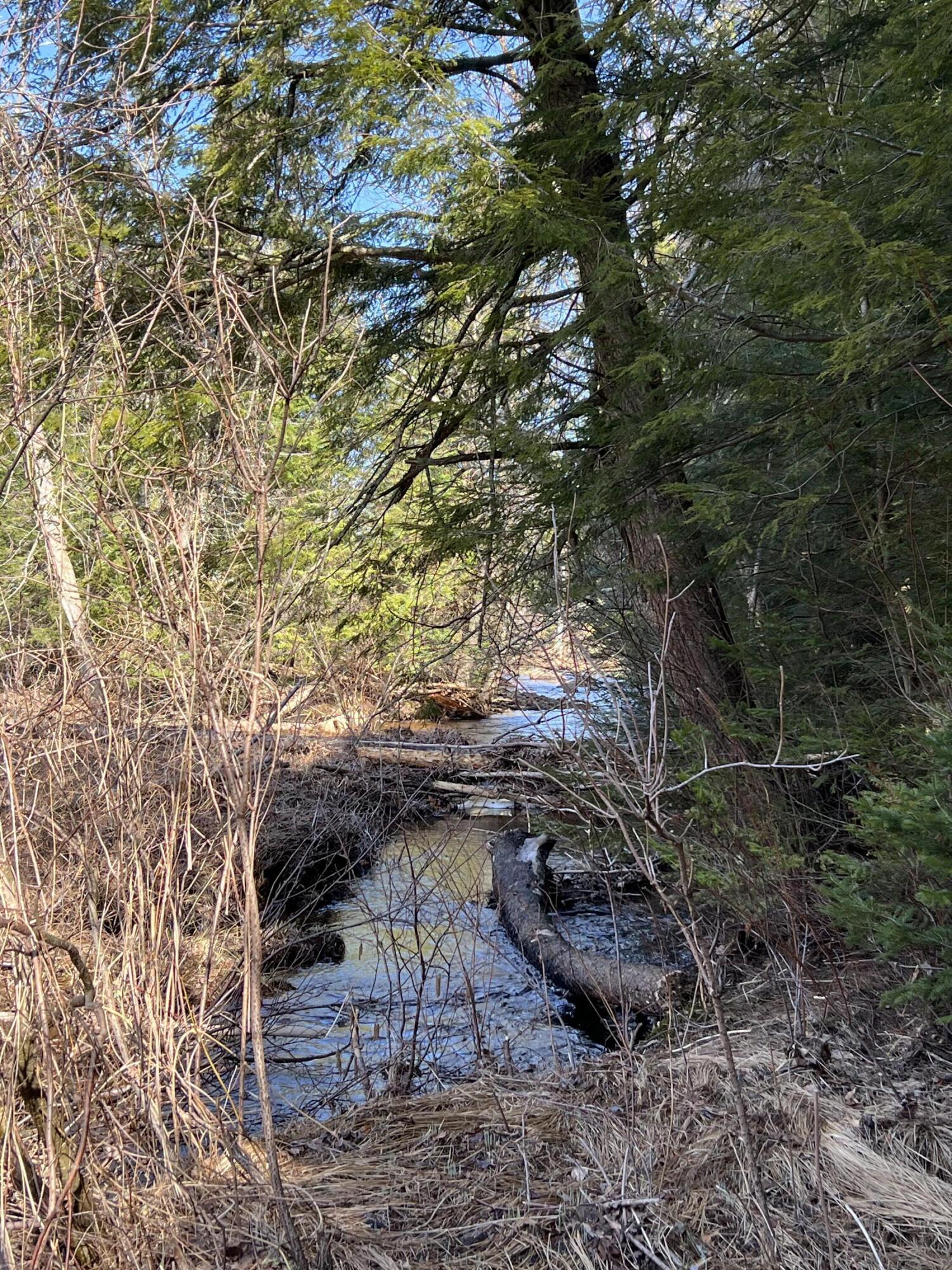 1690 County Route 24, Chateaugay, New York image 27
