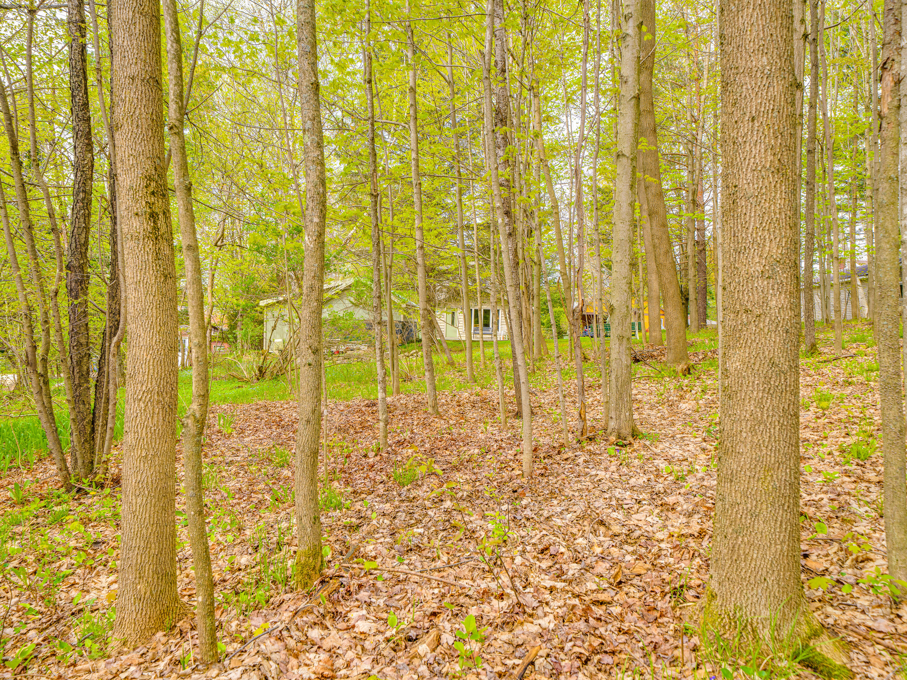 9 Fourth Street, Tupper Lake, New York image 15