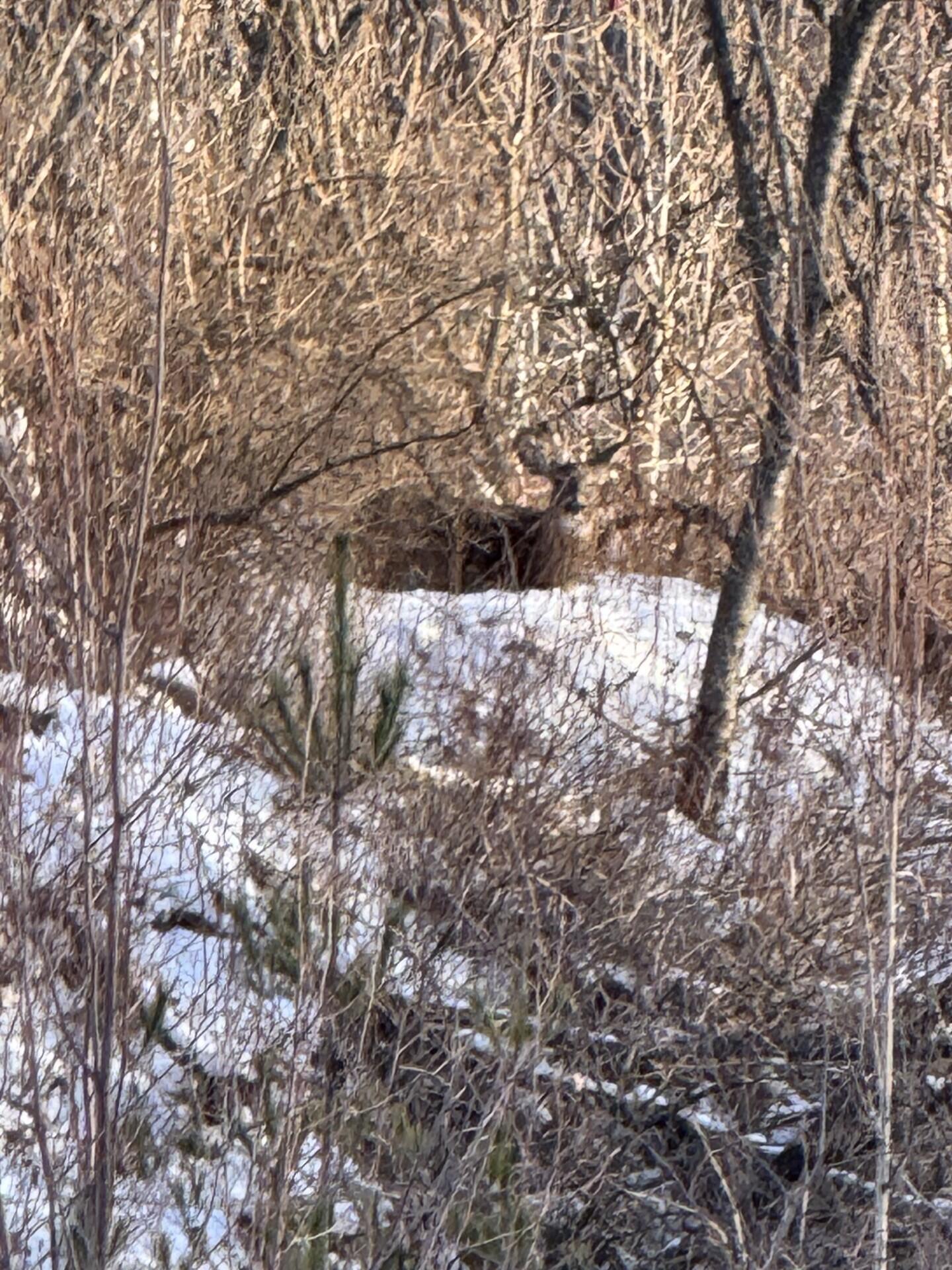 Flat Rock Road, Schuyler Falls, New York image 6