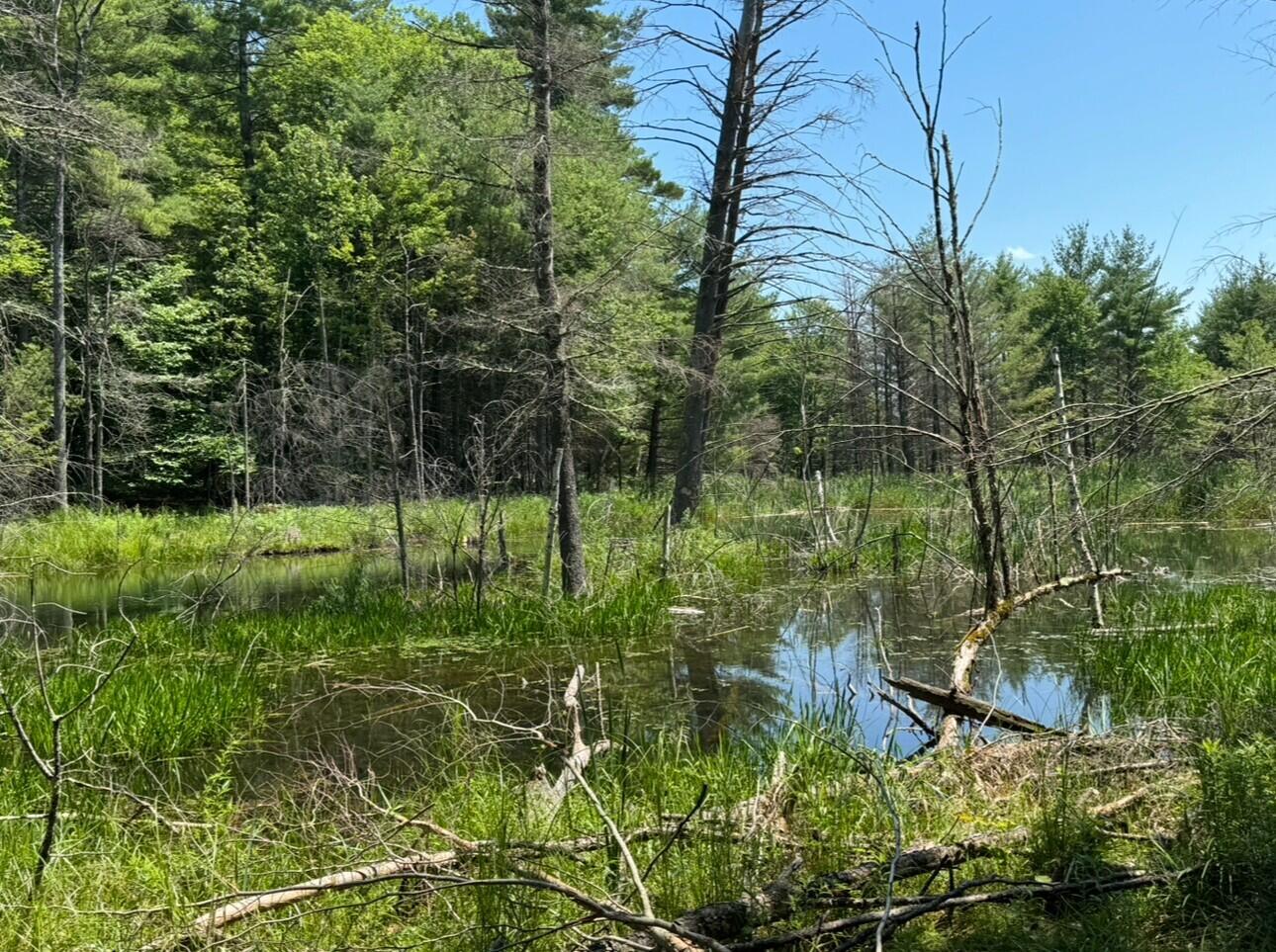 Flat Rock Road, Schuyler Falls, New York image 4