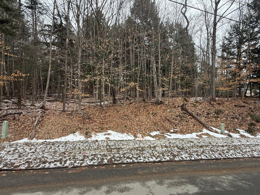 GLENWOOD DR, SARANAC LAKE, NY 12983 - Image f5b0636fcdf9cf6d35ec0346554ea501/474062376