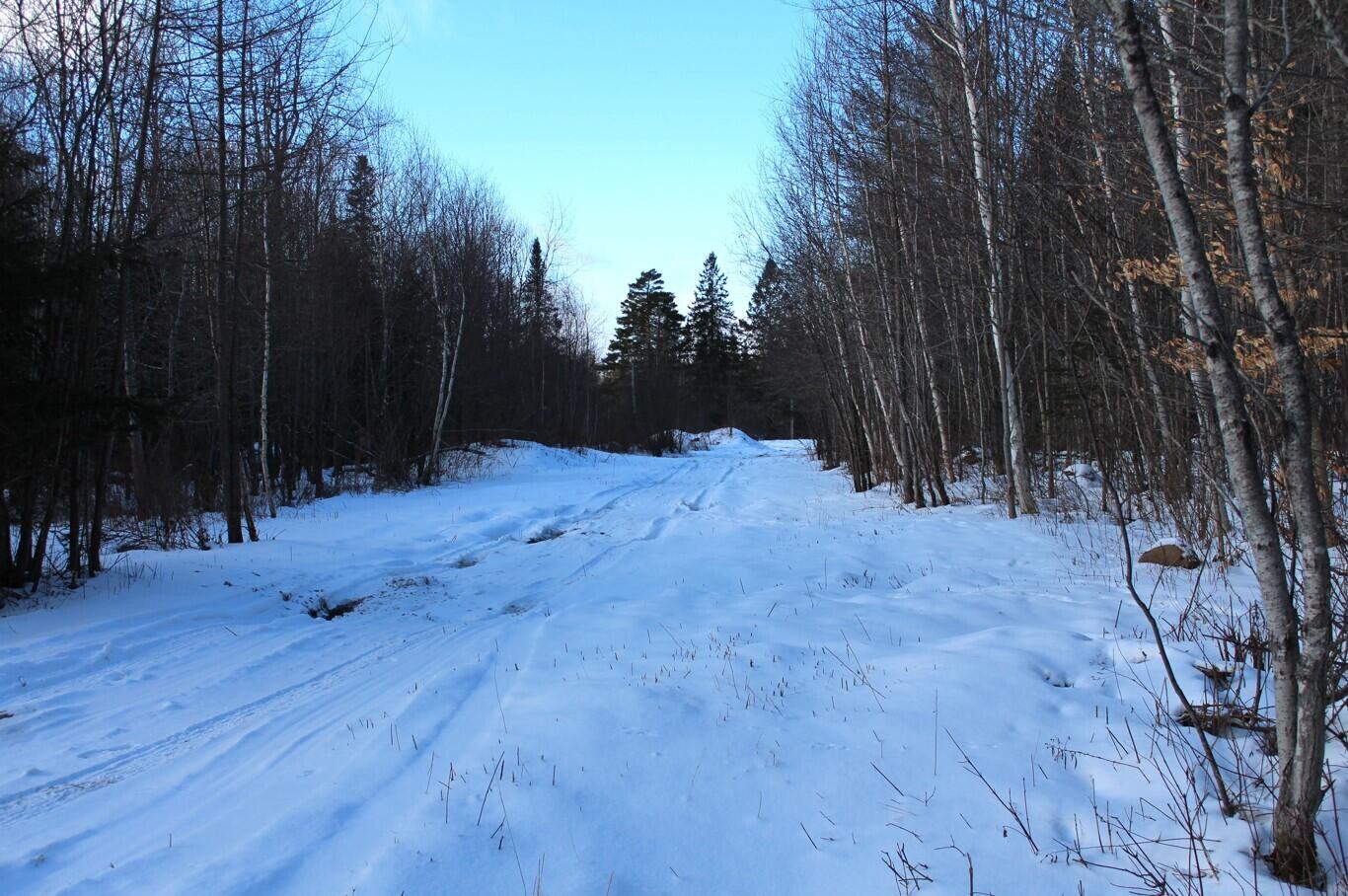 Crow Hill Road, Indian Lake, New York image 4