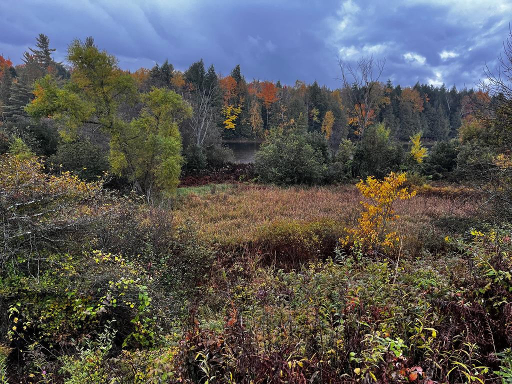 Route 3, Saranac, New York image 1