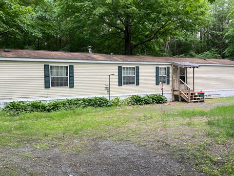 Mobile Home For Sale - 776 Brainards Forge Road<br/> Lewis, NY 12950