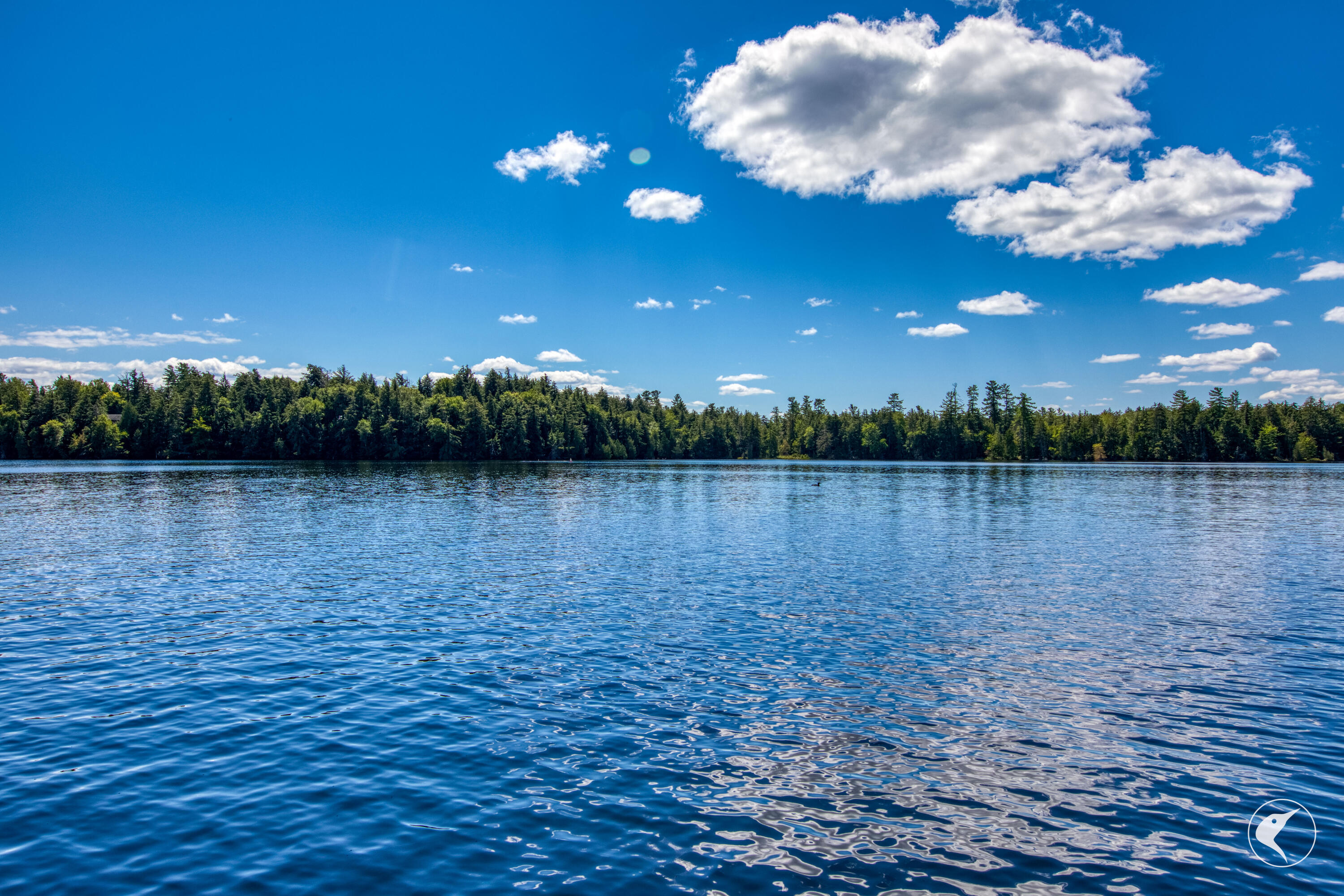 436 Gilpin Bay Rd Rd, Saranac Lake, New York image 14