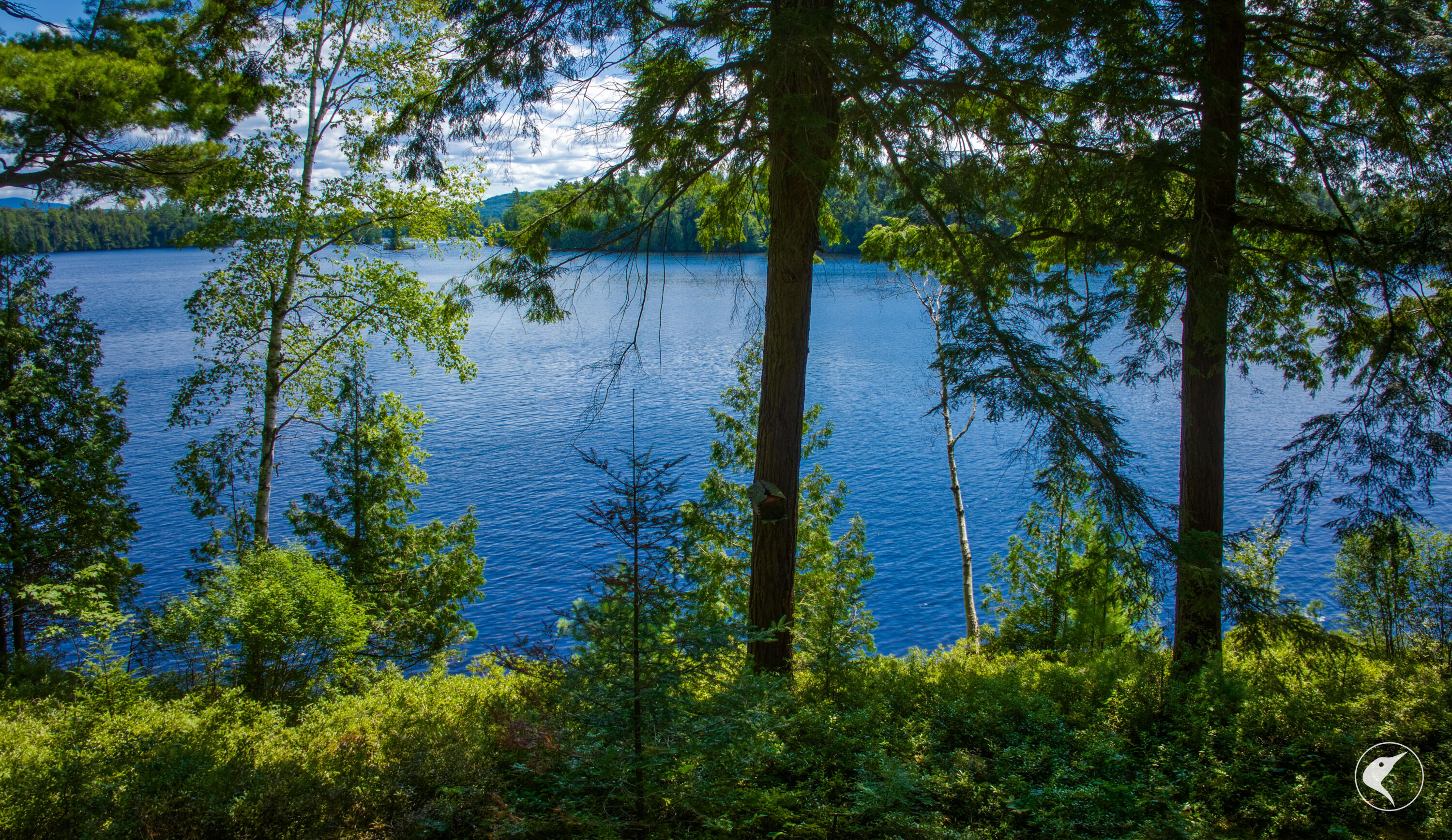 436 Gilpin Bay Rd Rd, Saranac Lake, New York image 32