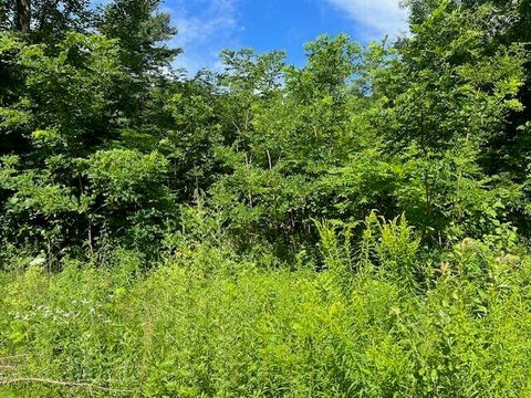 Vacant Land For Sale - Smart Road<br/> Plattsburgh, NY 12901