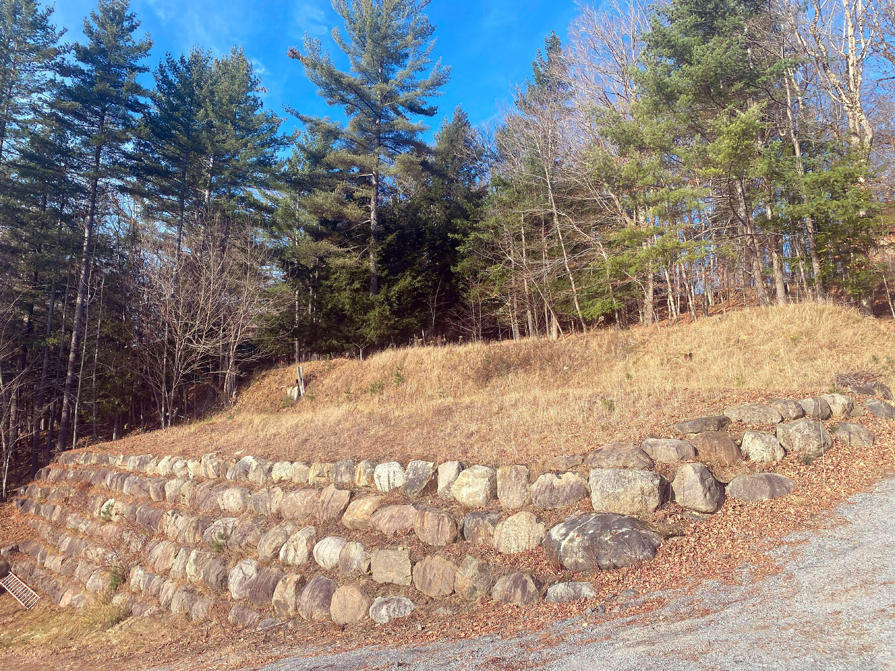 Duck Bay Road, Raquette Lake, New York image 9